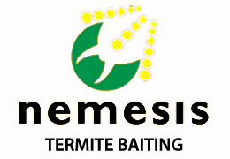 Nemsis